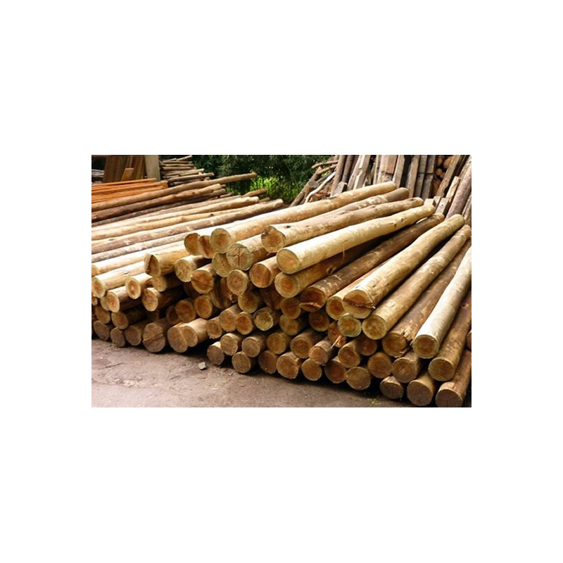 Rollizos de eucalipto